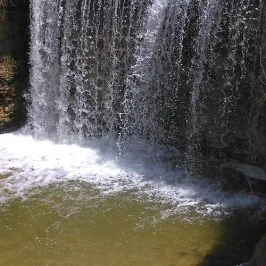 Day Tour to El Fayoum From Cairo